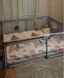 Дитячий манеж XXL 180х200 см з чотирма ручками для дітей і 50 різнокольоровими м'ячами для гри 5905226111811 фото 28
