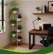 Підставка для кімнатних рослин Gardlov Loft на 7 ярусів металева етажерка для рослин 27790 фото 5