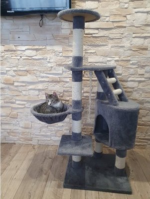 Котячий будиночок дерев'яний сірий 118 см  19121 фото