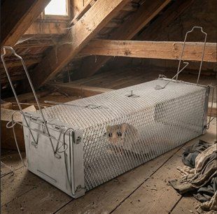 Пастка живоловка два входи 40x16x13,5 см з відкритими клапанами Q25A фото