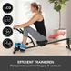 Гідравлічний гребний тренажер Styletics Ergometer до 120 кг Styletics фото 5