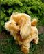 Інтерактивна собака Kruzzel 1302 1302 фото 1
