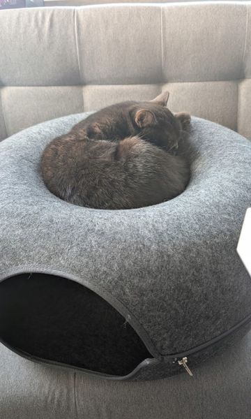 Лежак для кота Тунель пончик Будиночок для кота 50 см 25810 фото