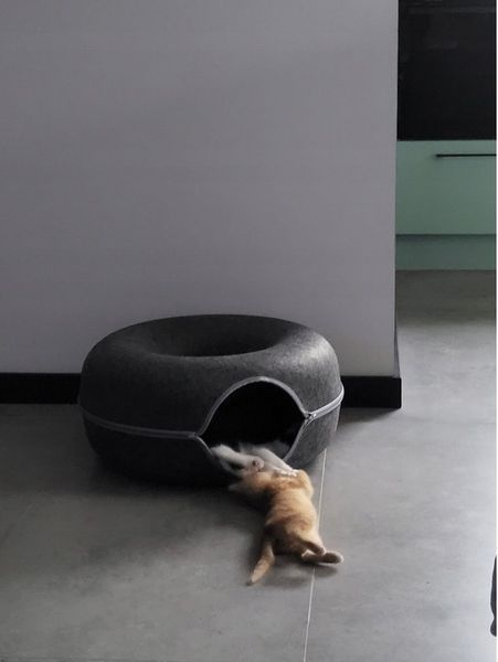 Лежак для кота Тунель пончик Будиночок для кота 50 см 25810 фото
