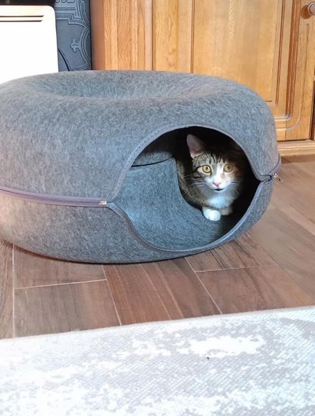 Лежак для кота Тунель пончик Будиночок для кота 50 см 25810 фото