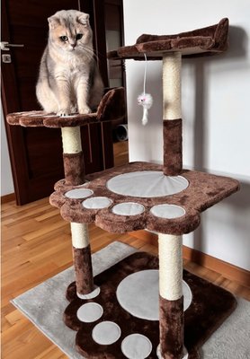 Висока когтеточка, лежак для кота 101 - 160 см RL2409 фото