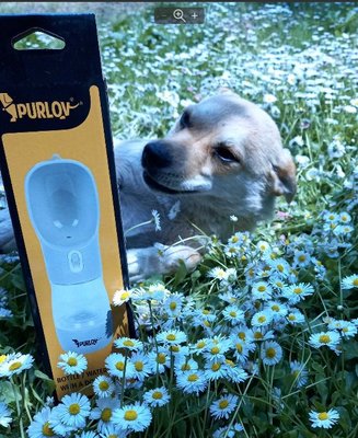 Пляшка для собак Purlov для води та їжі 21033 21033 фото